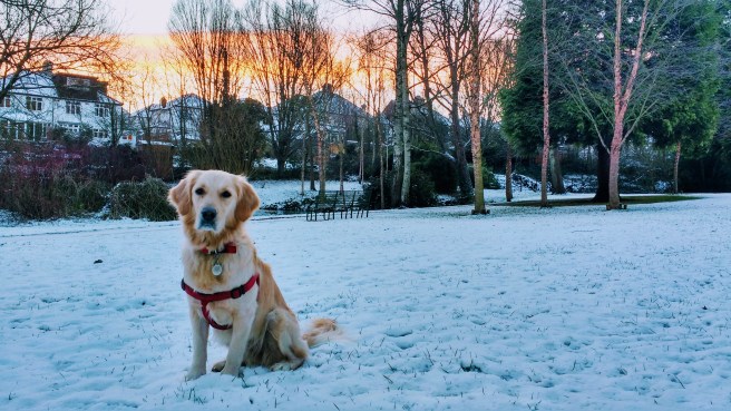 clone tag: 2175039113715728249