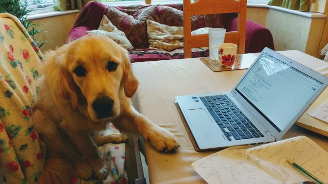 img_20170203_151040231