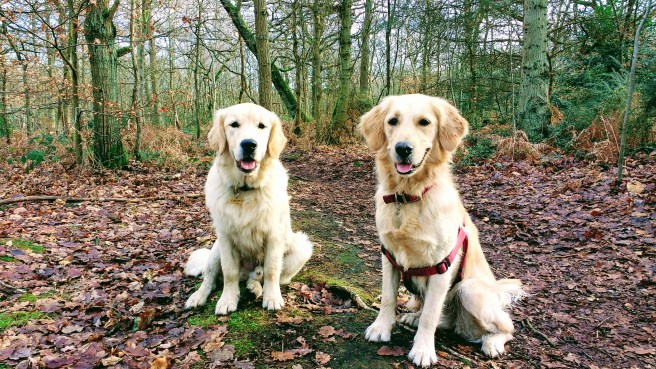 img_20170207_142032970