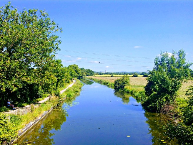 IMG_20170617_103531739-EFFECTS_picmonkeyed (2)