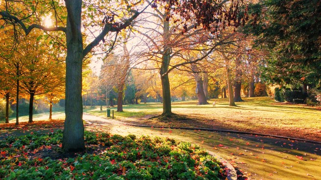 IMG_20171117_100211719_picmonkeyed