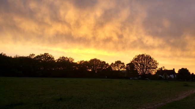 IMG_20180430_201158289_HDR