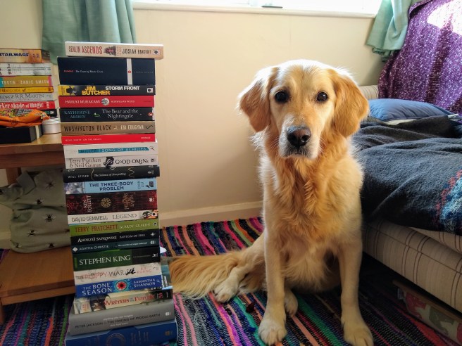 IMG_20191108_103742094