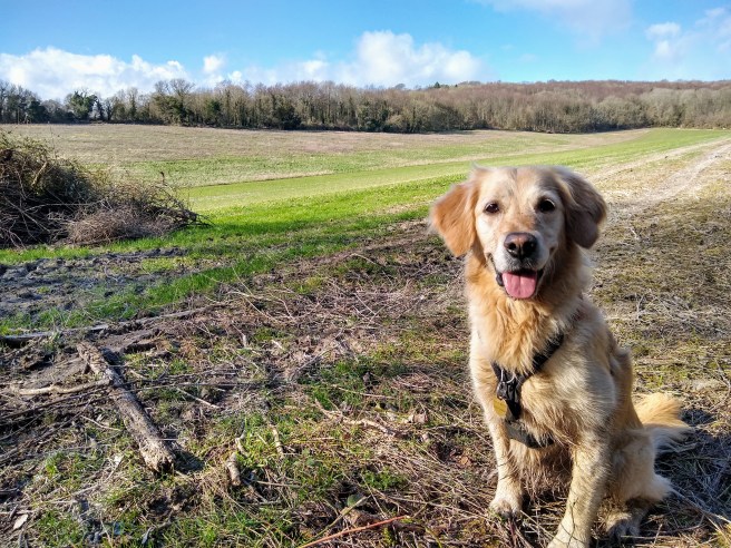 IMG_20200301_143441072_HDR