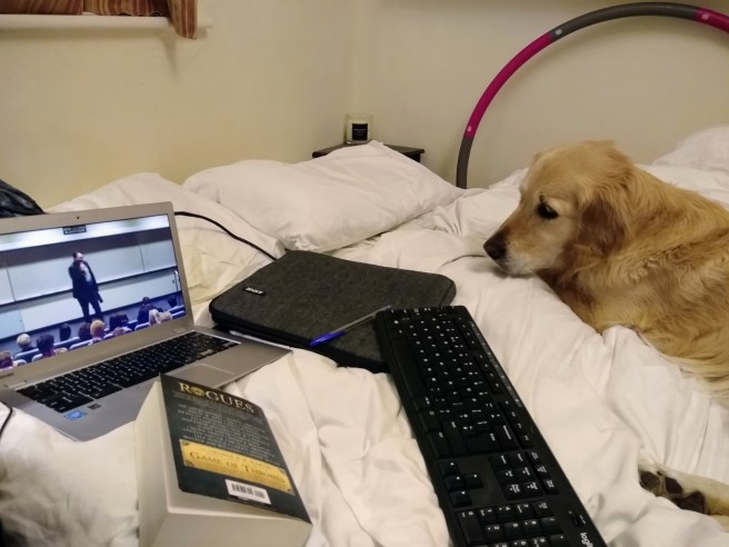 IMG_20200305_195601360